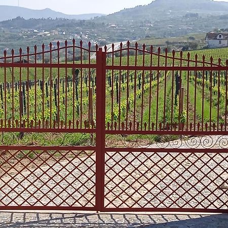 Quinta Do Passadico Villa Lamego Dış mekan fotoğraf