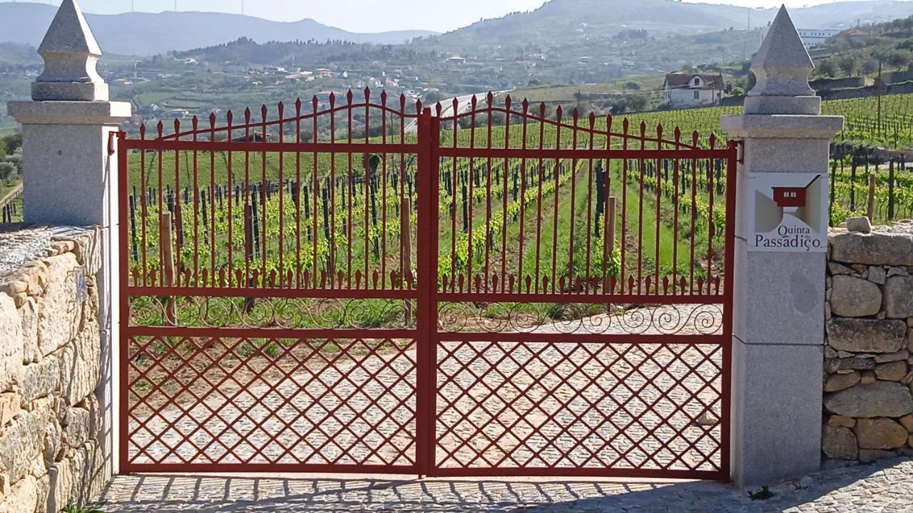 Quinta Do Passadico Villa Lamego Dış mekan fotoğraf