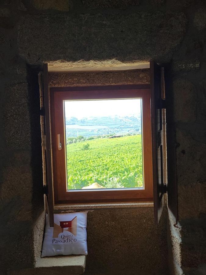 Quinta Do Passadico Villa Lamego Dış mekan fotoğraf